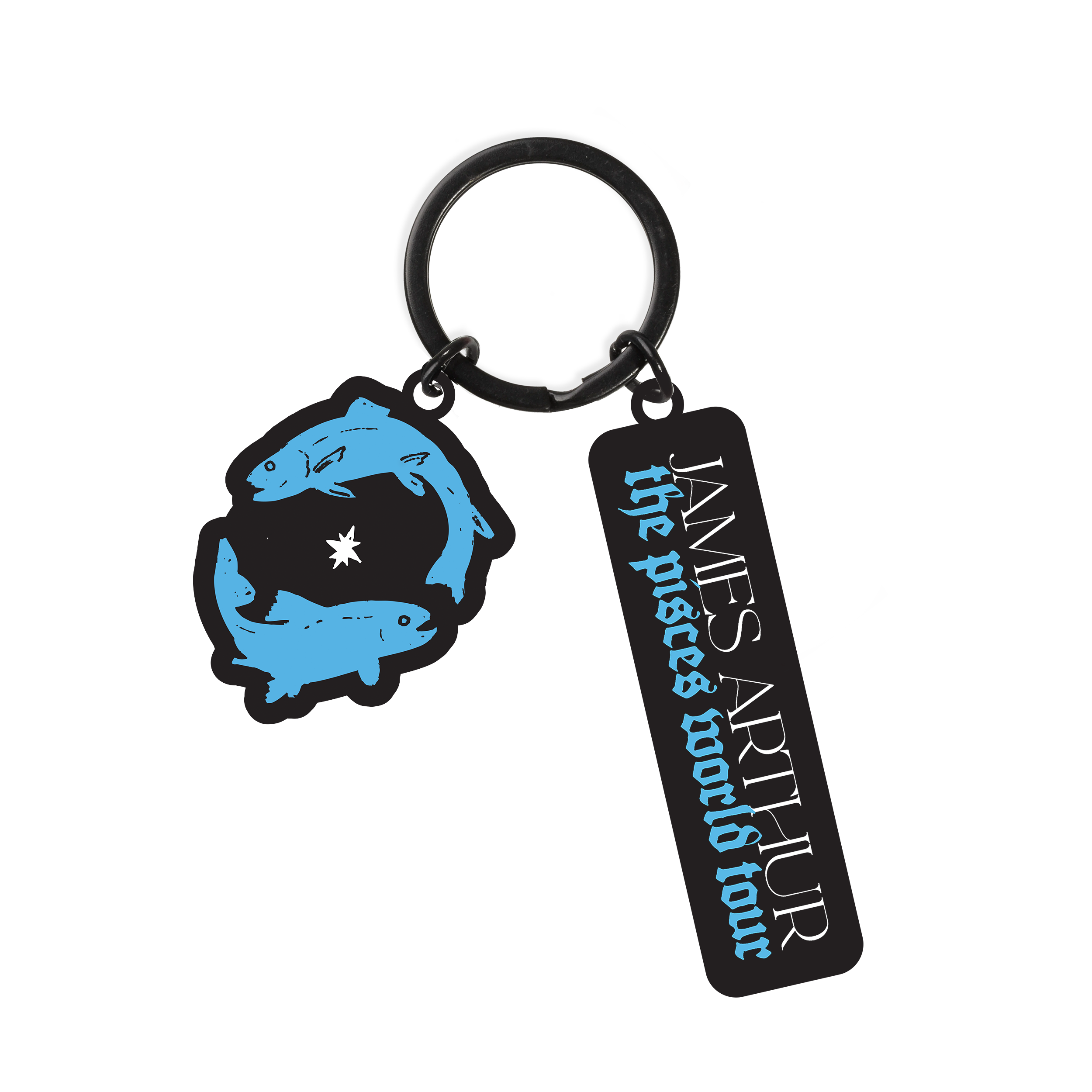 Pisces Keyring – James Arthur Store