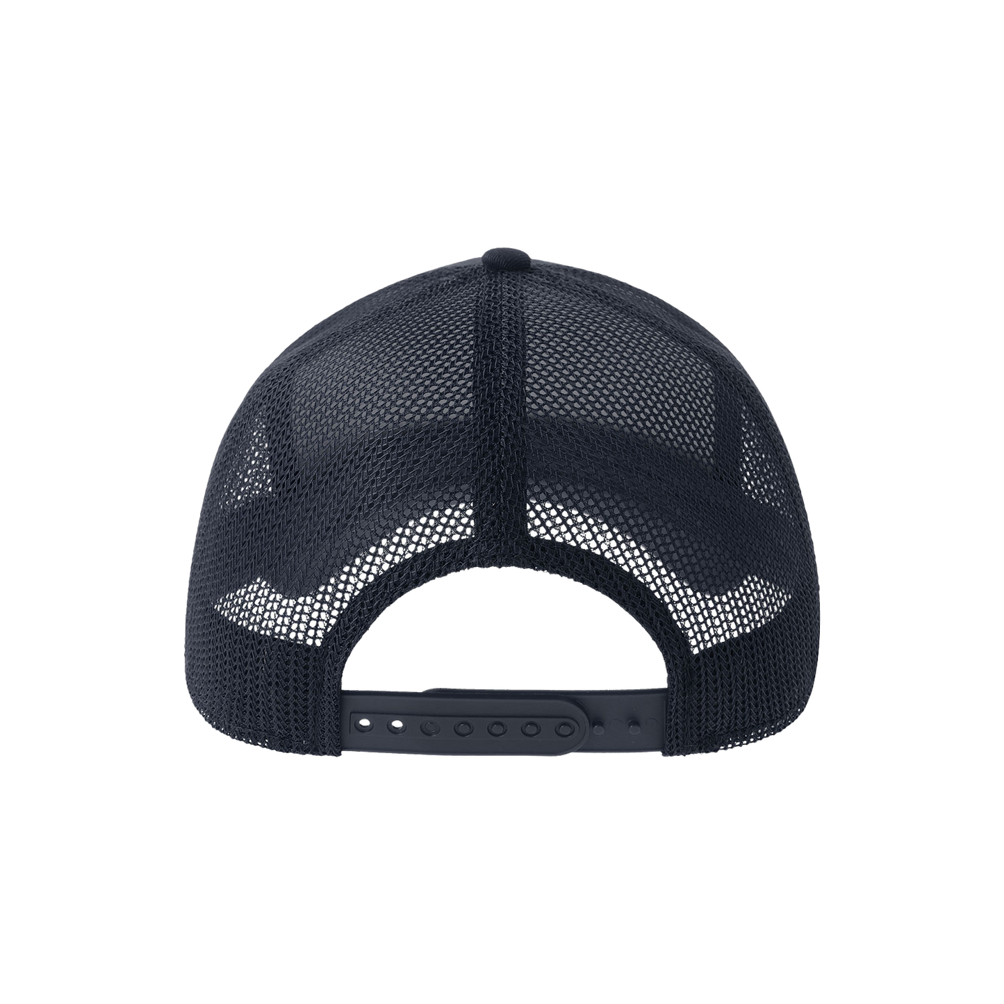 Pisces Navy Hat